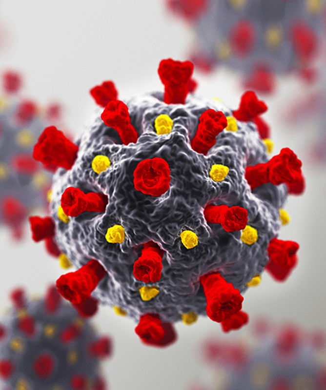 Image-A-668×800._ver2